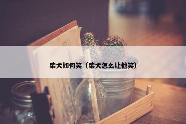 柴犬如何笑（柴犬怎么让他笑）