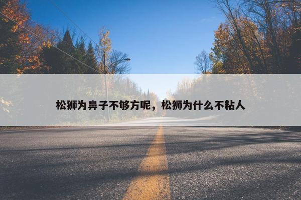 松狮为鼻子不够方呢，松狮为什么不粘人