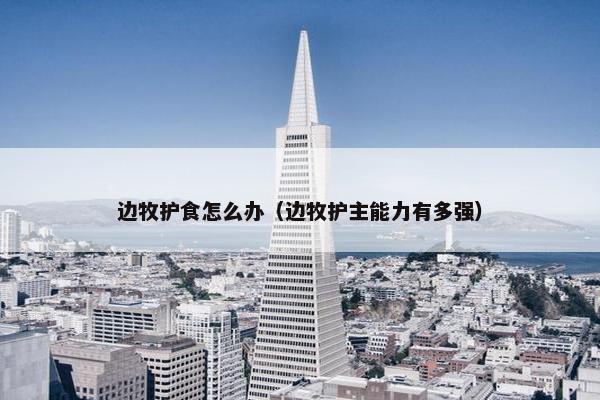 边牧护食怎么办（边牧护主能力有多强）