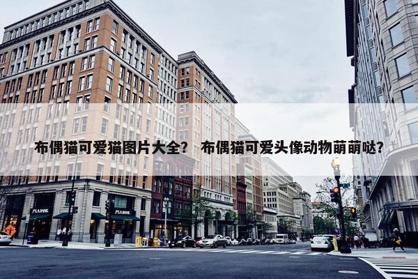 布偶猫可爱猫图片大全？ 布偶猫可爱头像动物萌萌哒？
