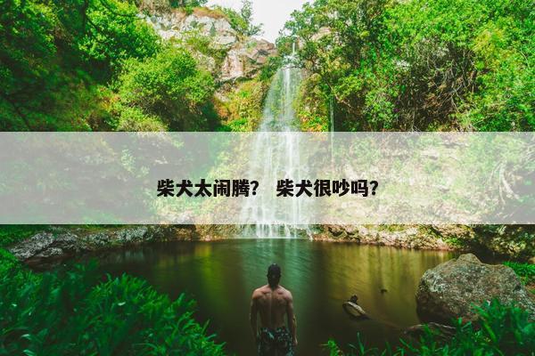柴犬太闹腾？ 柴犬很吵吗？