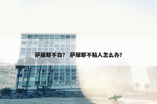 萨摩耶不白？ 萨摩耶不粘人怎么办？