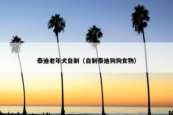 泰迪老年犬自制（自制泰迪狗狗食物）