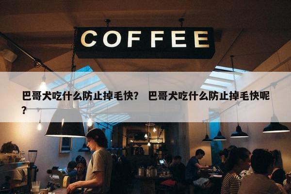 巴哥犬吃什么防止掉毛快？ 巴哥犬吃什么防止掉毛快呢？