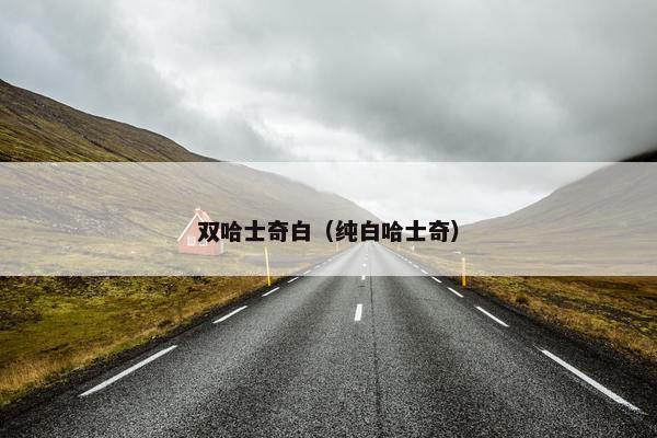 双哈士奇白（纯白哈士奇）
