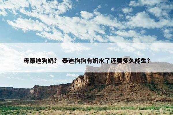 母泰迪狗奶？ 泰迪狗狗有奶水了还要多久能生？
