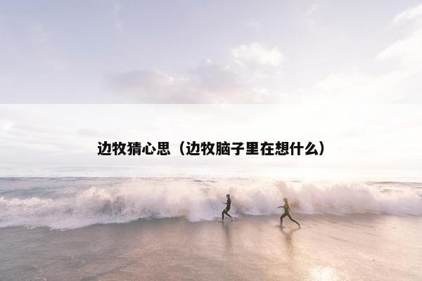 边牧猜心思（边牧脑子里在想什么）