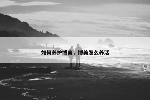 如何养护博美，博美怎么养活