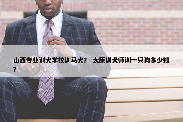 山西专业训犬学校训马犬？ 太原训犬师训一只狗多少钱？