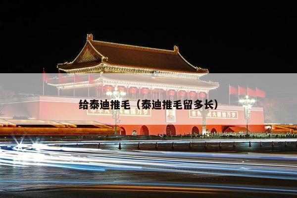 给泰迪推毛（泰迪推毛留多长）
