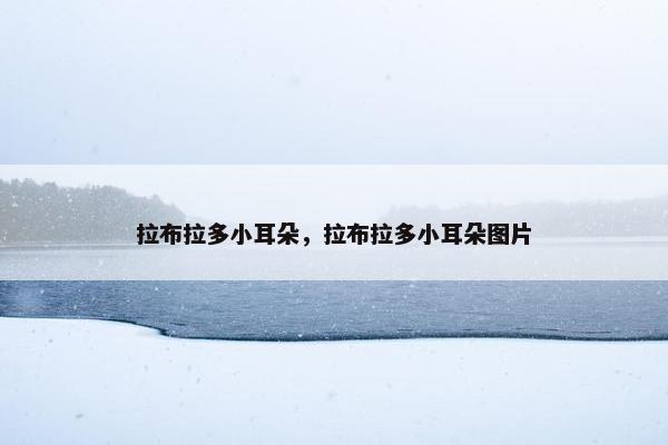 拉布拉多小耳朵，拉布拉多小耳朵图片