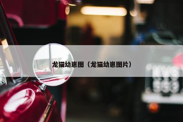 龙猫幼崽图（龙猫幼崽图片）