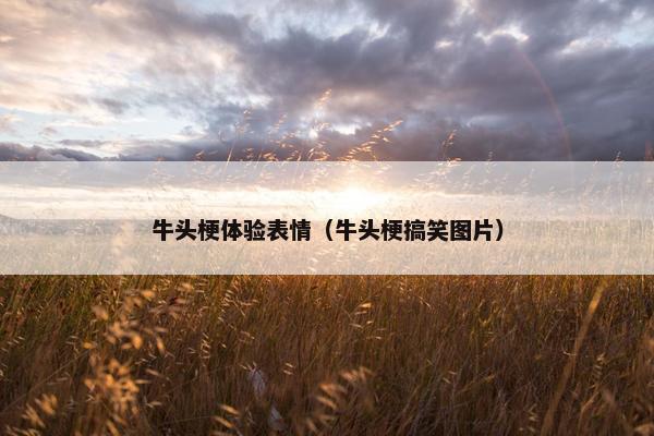 牛头梗体验表情（牛头梗搞笑图片）