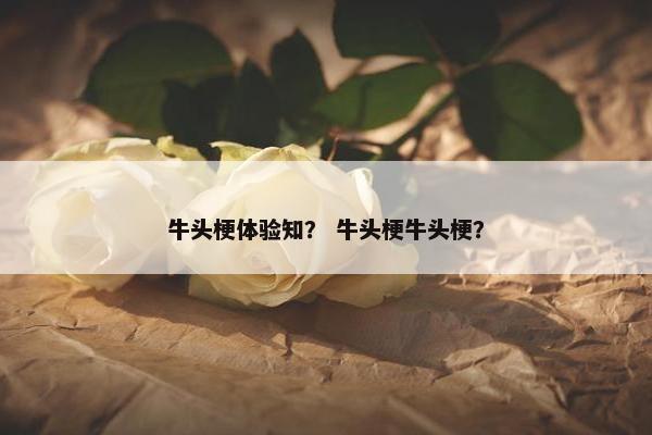 牛头梗体验知？ 牛头梗牛头梗？