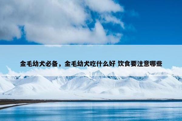 金毛幼犬必备，金毛幼犬吃什么好 饮食要注意哪些