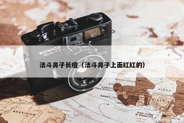 法斗鼻子长痘（法斗鼻子上面红红的）