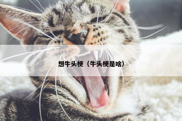 想牛头梗（牛头梗是啥）