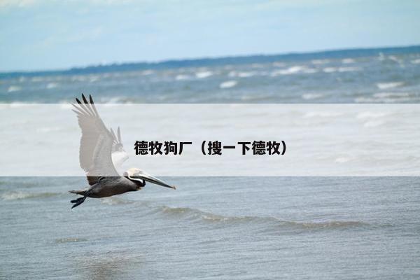 德牧狗厂（搜一下德牧）