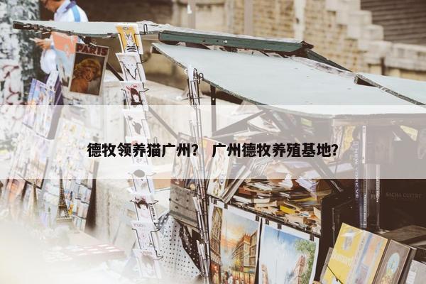 德牧领养猫广州？ 广州德牧养殖基地？