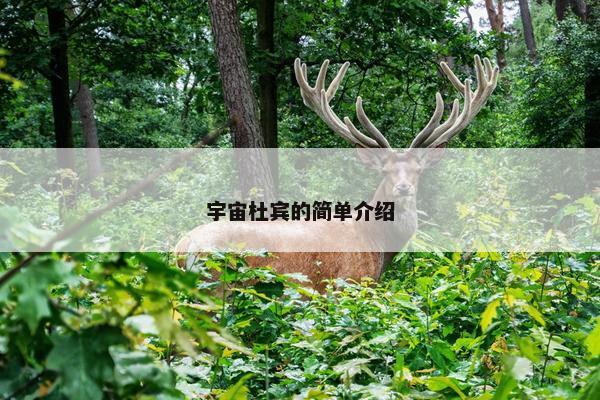 宇宙杜宾的简单介绍