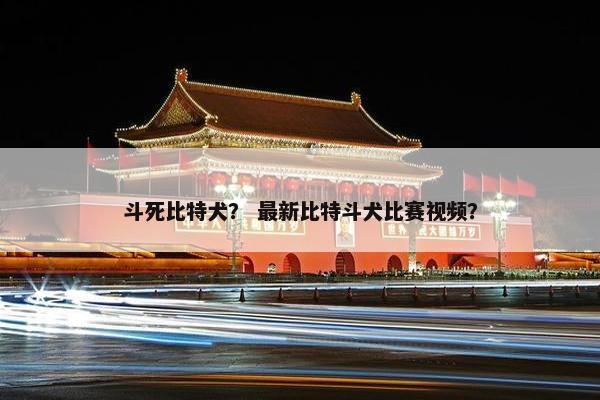 斗死比特犬？ 最新比特斗犬比赛视频？