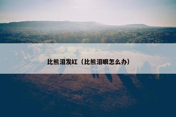比熊泪发红（比熊泪眼怎么办）