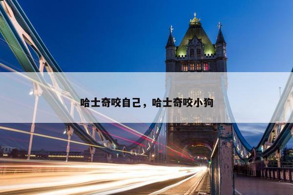 哈士奇咬自己，哈士奇咬小狗