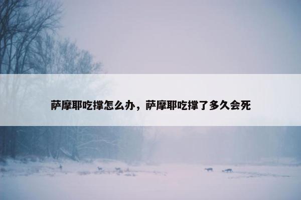 萨摩耶吃撑怎么办，萨摩耶吃撑了多久会死