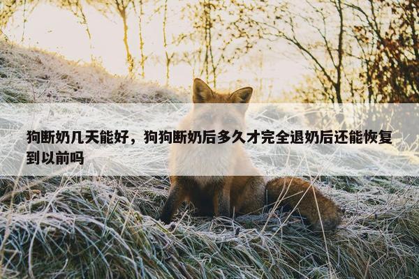 狗断奶几天能好，狗狗断奶后多久才完全退奶后还能恢复到以前吗