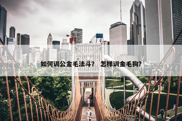 如何训公金毛法斗？ 怎样训金毛狗？