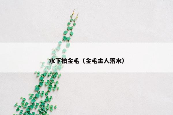 水下拍金毛（金毛主人落水）