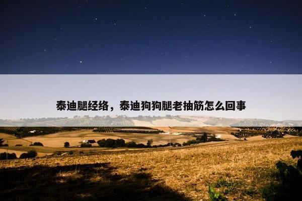 泰迪腿经络，泰迪狗狗腿老抽筋怎么回事