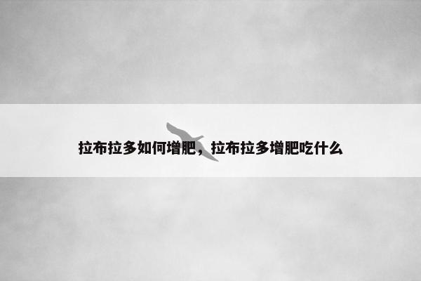 拉布拉多如何增肥，拉布拉多增肥吃什么