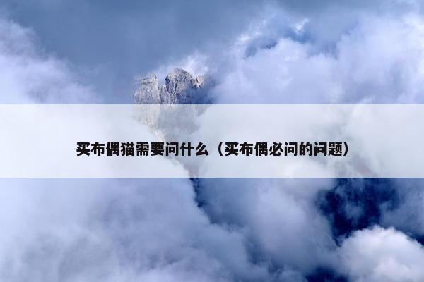 买布偶猫需要问什么（买布偶必问的问题）