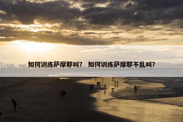 如何训练萨摩耶叫？ 如何训练萨摩耶不乱叫？