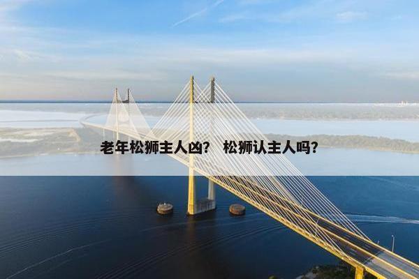 老年松狮主人凶？ 松狮认主人吗？