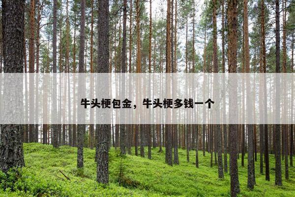 牛头梗包金，牛头梗多钱一个
