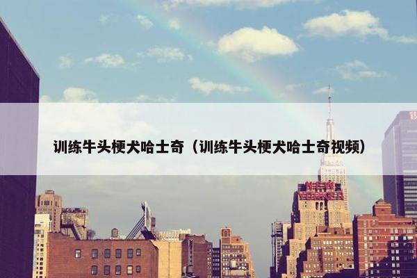训练牛头梗犬哈士奇（训练牛头梗犬哈士奇视频）