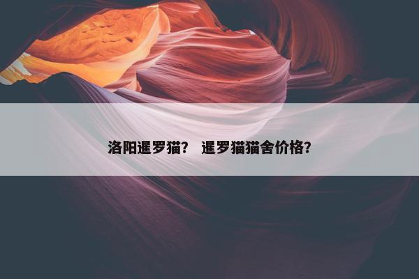 洛阳暹罗猫？ 暹罗猫猫舍价格？