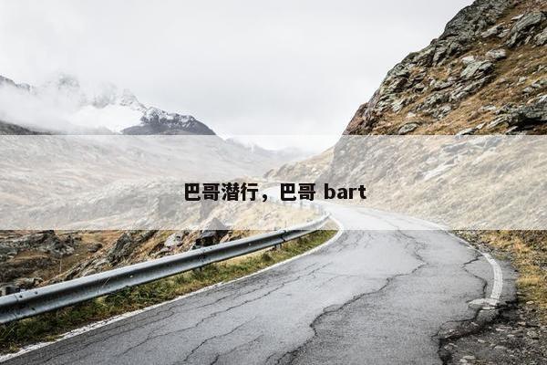 巴哥潜行，巴哥 bart