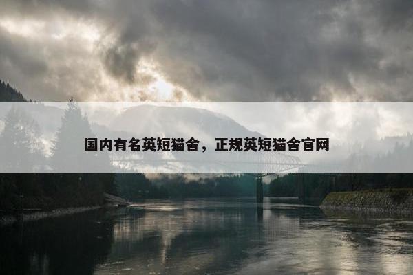 国内有名英短猫舍，正规英短猫舍官网