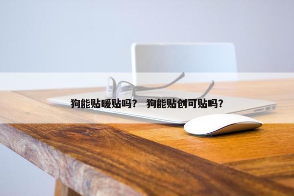 狗能贴暖贴吗？ 狗能贴创可贴吗？