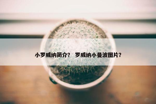 小罗威纳简介？ 罗威纳小曼波图片？