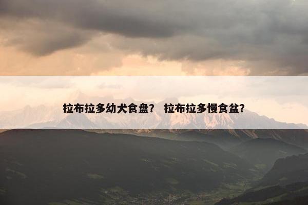 拉布拉多幼犬食盘？ 拉布拉多慢食盆？