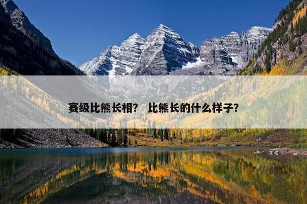 赛级比熊长相？ 比熊长的什么样子？