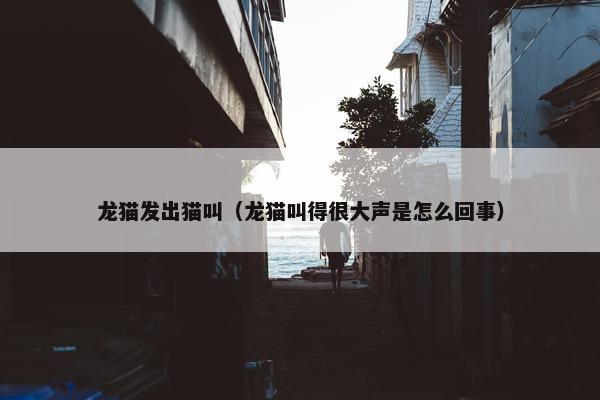 龙猫发出猫叫（龙猫叫得很大声是怎么回事）