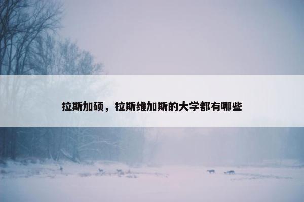 拉斯加硕，拉斯维加斯的大学都有哪些