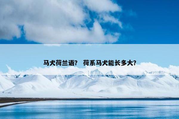 马犬荷兰语? 荷系马犬能长多大? 马犬荷兰语? 荷系马犬能长多大?
