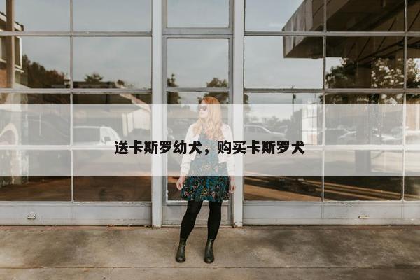 送卡斯罗幼犬，购买卡斯罗犬