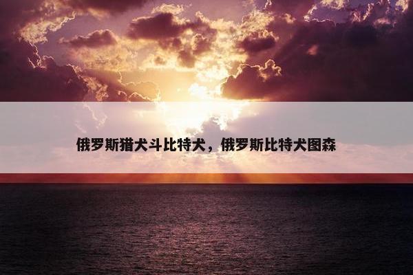 俄罗斯猎犬斗比特犬，俄罗斯比特犬图森